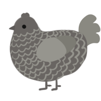 (unnamed), a grey and ash chicken with a lace pattern