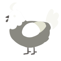 Pidegon, a ash and white chicken with a head pattern