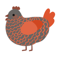 Gimoween, a grey and vermilion chicken with a lace pattern