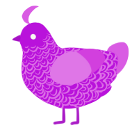 The it the it, a amethyst and orchid chicken with a double-lace pattern