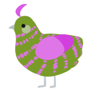 Tot, a chartreuse and orchid chicken with a bar pattern