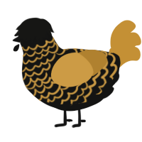 goldenrod, a black and gold chicken with a lace pattern