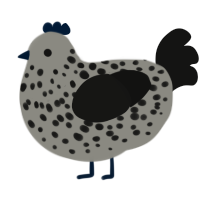 memento mori, a ash and black chicken with a speckle pattern