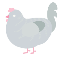Bawk-Tuah, a mist and silver chicken with a half-bar pattern