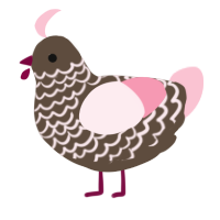 Truffle, a bark and rose chicken with a lace pattern