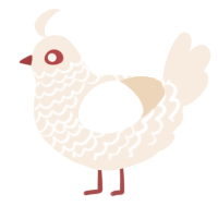 (unnamed), a cream chicken with a lace pattern