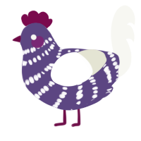 Audrina, a overcast and white chicken with a bar pattern