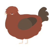 (unnamed), a russet and bark chicken