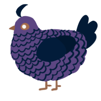 7, a overcast and tumblr chicken with a lace pattern
