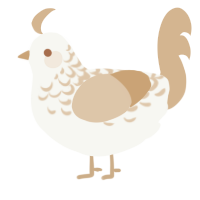 Beige Lace, a white and beige chicken with a half-lace pattern