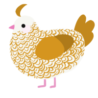 Thinker, a white and ochre chicken with a double-lace pattern