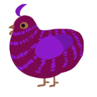 A wine and violet chicken with a bar pattern