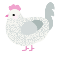 Spork, a white and silver chicken with a double-lace pattern