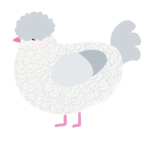 Dodger, a white and mist chicken with a double-lace pattern