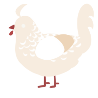 A cream chicken with a half-lace pattern