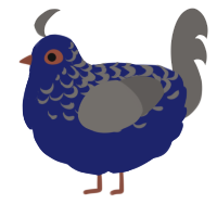 Ablutophobia, a navy and grey chicken with a half-lace pattern