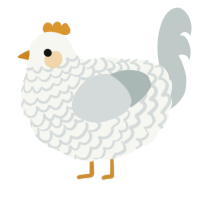 Automysophobia, a white and silver chicken with a lace pattern