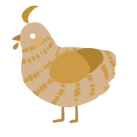 Disco Fries, a beige and gold chicken with a bar pattern