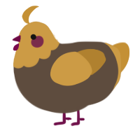 Refried Beans, a bark and gold chicken with a head pattern