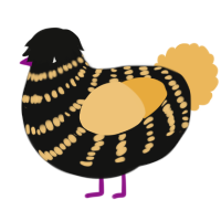 Fat Bee, a black and honey chicken with a bar pattern