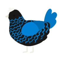 Hank, a sable and sapphire chicken with a lace pattern