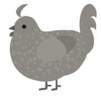 ash, a ash chicken with a speckle pattern