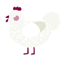 (unnamed), a white chicken with a speckle pattern