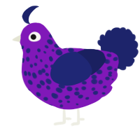 Maurice, a violet and navy chicken with a speckle pattern