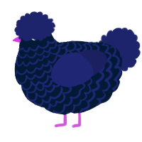 sweet, a tumblr and navy chicken with a lace pattern