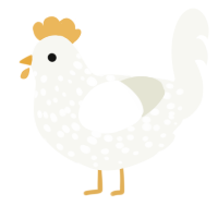 A white chicken with a speckle pattern