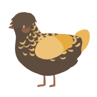 A bark and honey chicken with a half-lace pattern