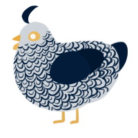 A mist and tumblr chicken with a double-lace pattern