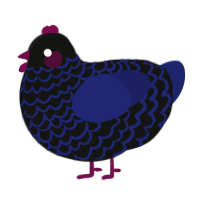 Kess, a black and navy chicken with a lace pattern