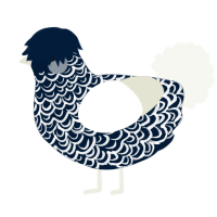 Snowstorm, a tumblr and white chicken with a double-lace pattern