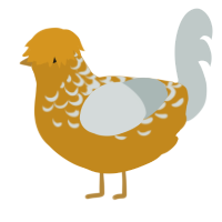 (unnamed), a ochre and silver chicken with a half-lace pattern