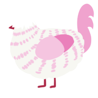 A white and pink chicken with a bar pattern