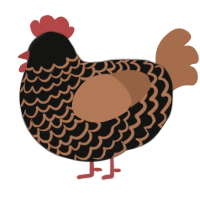 Brownie, a black and brown chicken with a lace pattern