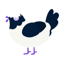 Thunder, a white and tumblr chicken with a head pattern