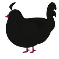 song, a black chicken with a half-lace pattern