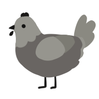 spoon, a grey and ash chicken with a head pattern