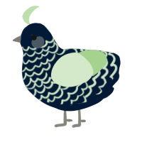 A tumblr and gluppy chicken with a lace pattern
