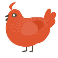 kazoo, a vermilion chicken with a half-lace pattern