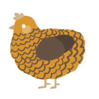 Sunrise, a orange and bark chicken with a lace pattern