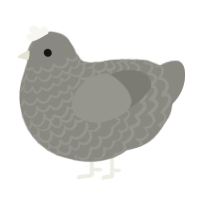 pet rock, a ash chicken with a lace pattern