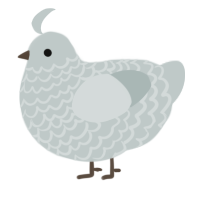 Teacup, a silver chicken with a lace pattern
