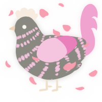 July, a ash and pink chicken with a bar pattern