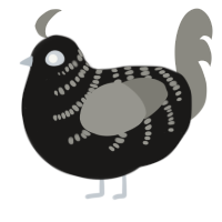 (unnamed), a sable and ash chicken with a half-bar pattern