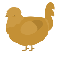 Gold, a gold chicken with a head pattern