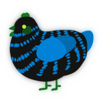 Craters Edge, a black and sapphire chicken with a bar pattern