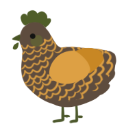 tuna tim, a bark and orange chicken with a lace pattern
